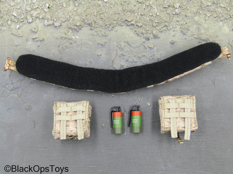 Load image into Gallery viewer, NSWDG Infiltration Team Ver. B - AOR1 MOLLE Battle Belt Set
