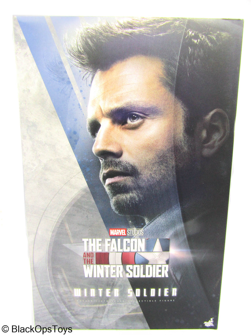 Load image into Gallery viewer, CUSTOM - The Falcon and The Winter Soldier - MINT IN BOX
