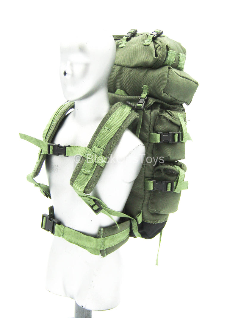 Load image into Gallery viewer, CIA - Swift Freedom - Smith - OD Green Backpack
