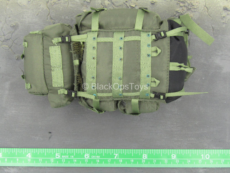 Load image into Gallery viewer, CIA - Swift Freedom - Smith - OD Green Backpack
