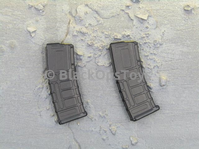 Load image into Gallery viewer, Soldier Story US Army 10th SFG Special Forces M4 Mags x2
