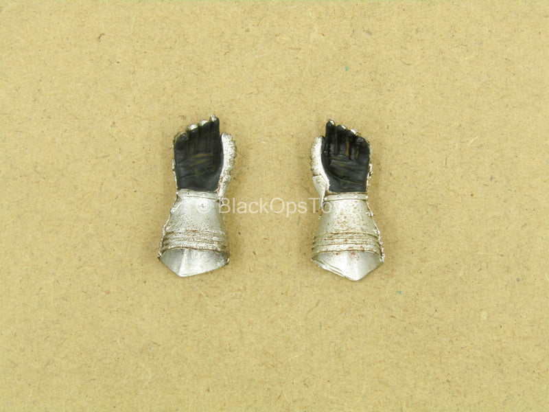 Load image into Gallery viewer, 1/12 - Bodyguard Knights - Pair of Armored Hands
