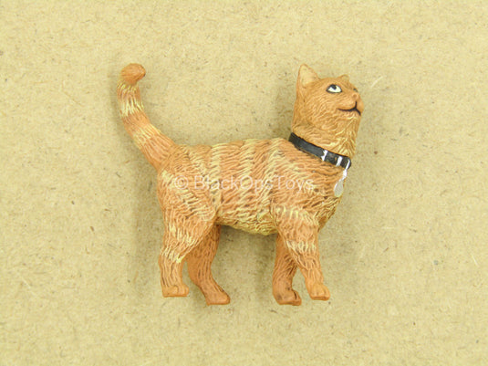 1/12 - Captain Marvel - Orange Cat