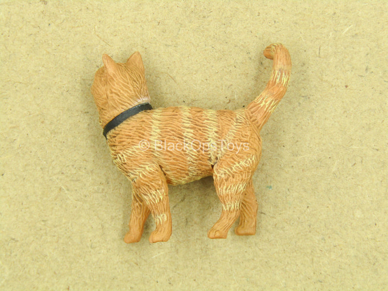 Load image into Gallery viewer, 1/12 - Captain Marvel - Orange Cat
