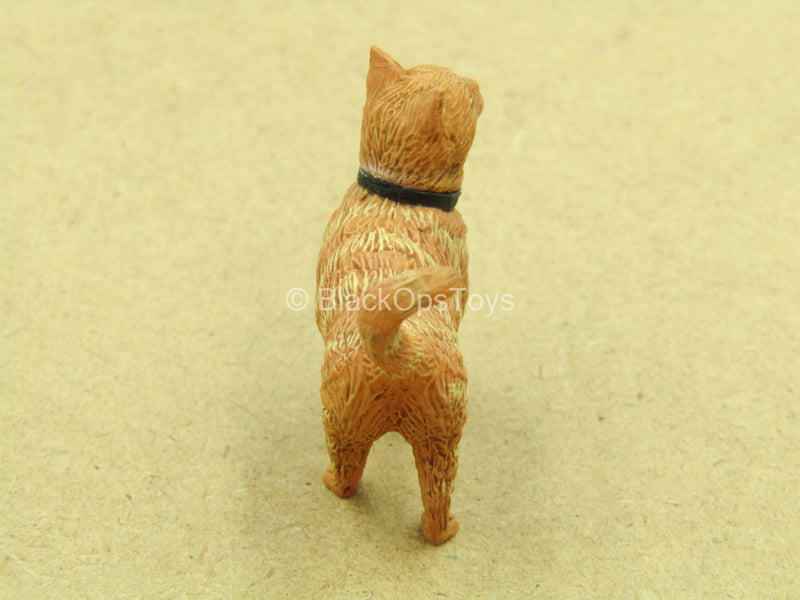 Load image into Gallery viewer, 1/12 - Captain Marvel - Orange Cat

