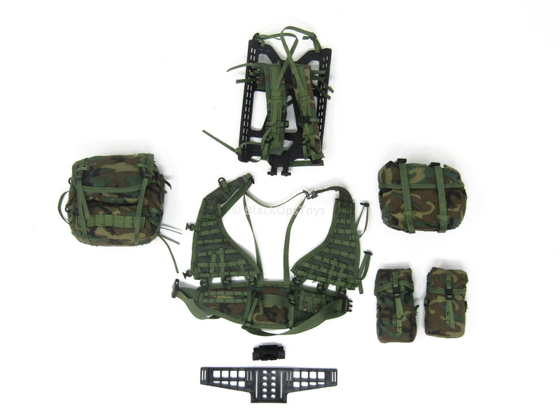 Load image into Gallery viewer, SMC Expeditionary Unit LRP John Woodland Tactical Pouches and Vest Set
