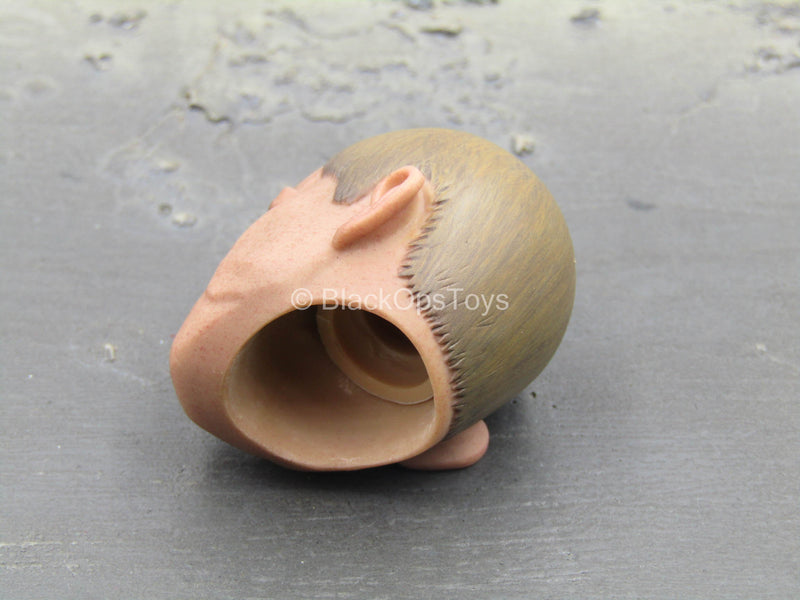 Load image into Gallery viewer, Gangsters Kingdom Kojiro - Asian Male Head Sculpt
