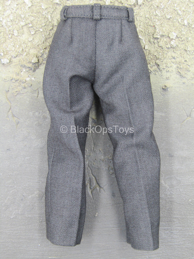 Load image into Gallery viewer, Harry Potter - Draco Malfoy - Adolescent Size Gray Pants
