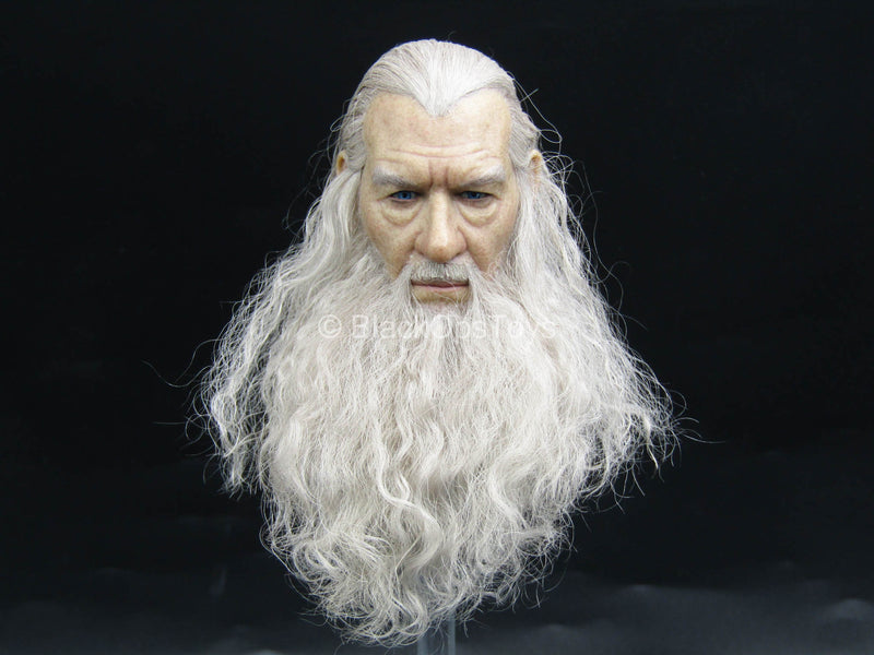 Load image into Gallery viewer, LOTR - Crown Series Gandalf - Detailed Male Head Sculpt w/Rooted Hair

