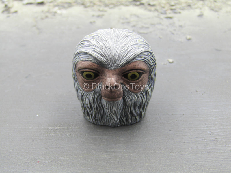 Load image into Gallery viewer, Fantastic Beast - Newt - Peeking Demiguise Head
