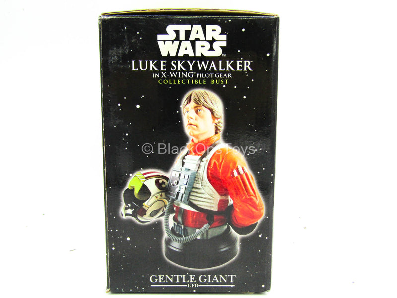 Load image into Gallery viewer, Figure Bust - Star Wars Luke Skywalker in X-Wing Gear - MINT IN BOX

