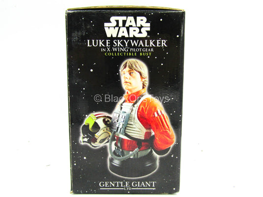 Figure Bust - Star Wars Luke Skywalker in X-Wing Gear - MINT IN BOX
