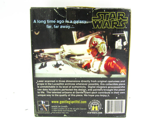 Figure Bust - Star Wars Luke Skywalker in X-Wing Gear - MINT IN BOX