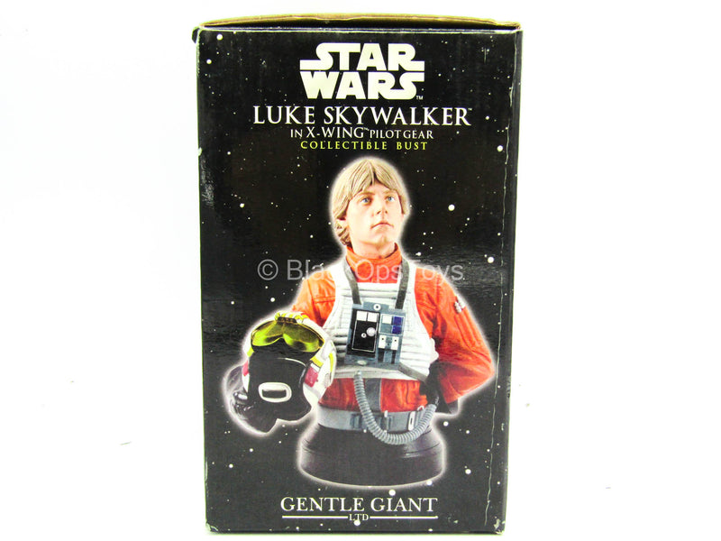 Load image into Gallery viewer, Figure Bust - Star Wars Luke Skywalker in X-Wing Gear - MINT IN BOX
