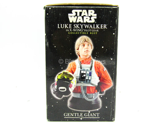 Figure Bust - Star Wars Luke Skywalker in X-Wing Gear - MINT IN BOX