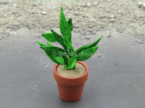 Leon - Potted Plant