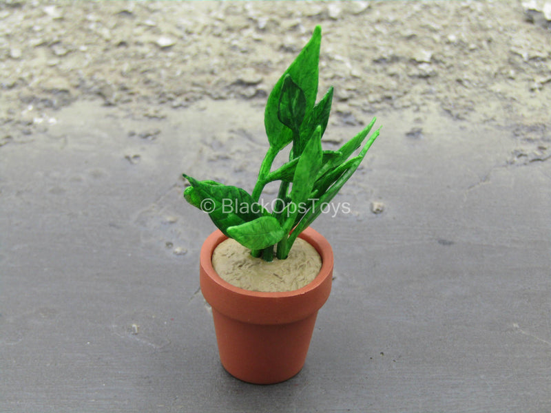 Load image into Gallery viewer, Leon - Potted Plant
