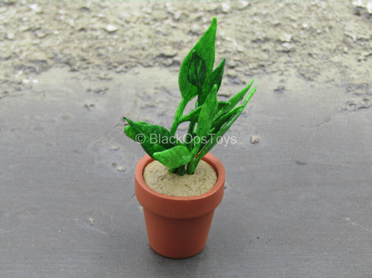 Leon - Potted Plant