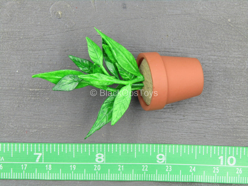 Load image into Gallery viewer, Leon - Potted Plant
