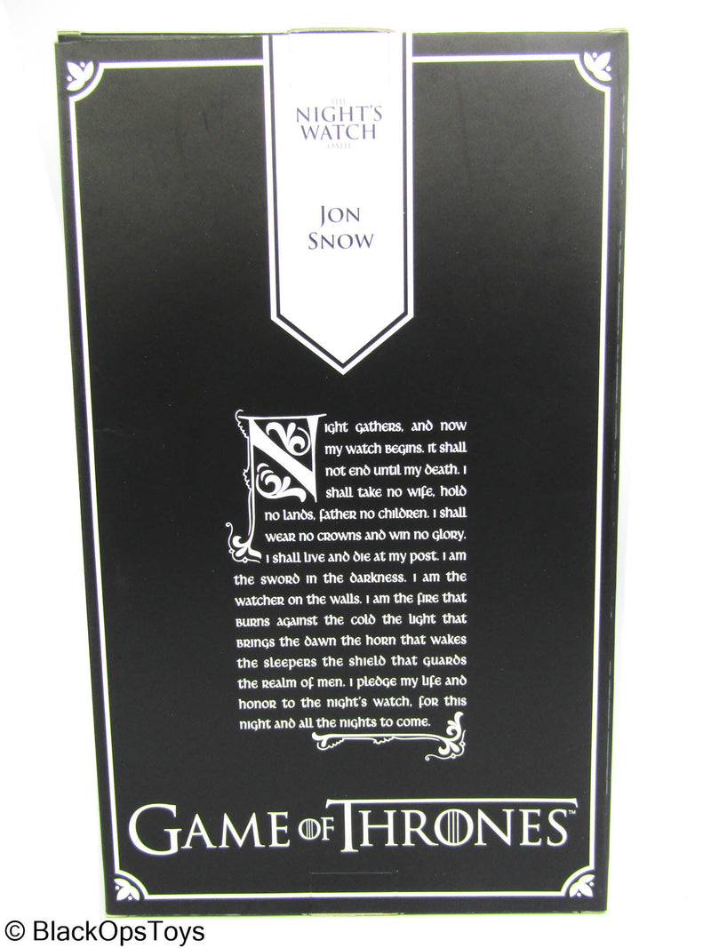Load image into Gallery viewer, Game Of Thrones - Jon Snow w/Exclusive Dire Wolf Ghost - MINT IN BOX
