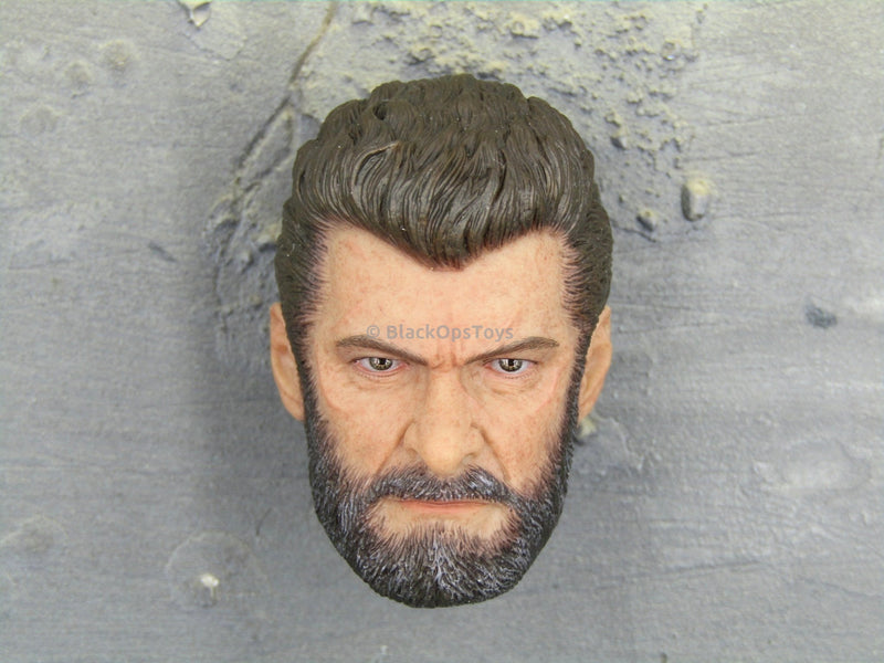 Load image into Gallery viewer, Wolverine Logan Steel Wolf Head Sculpt Mint In Box
