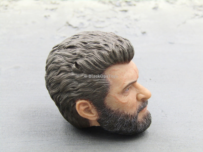 Load image into Gallery viewer, Wolverine Logan Steel Wolf Head Sculpt Mint In Box
