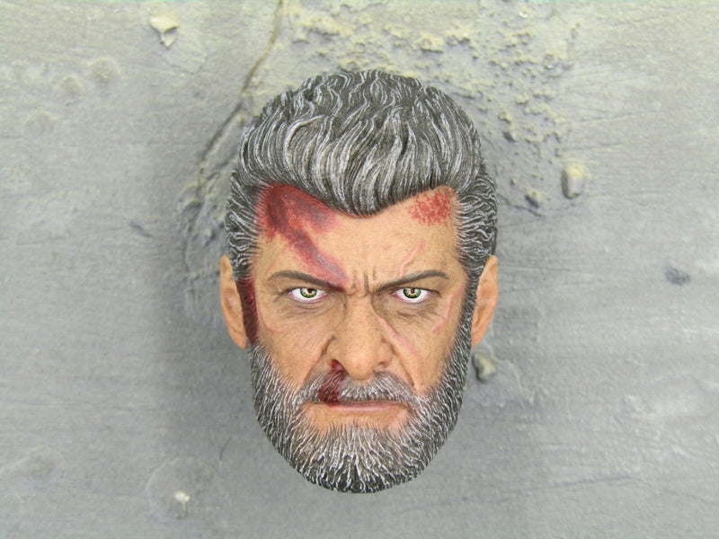 Load image into Gallery viewer, Wolverine Logan Steel Wolf Head Sculpt Bloody Mint In Box
