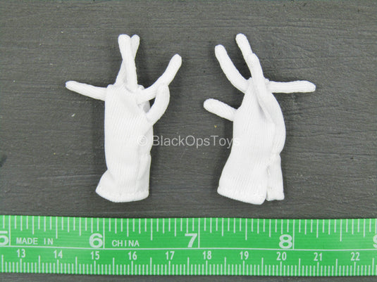 USMC - Brigadier General - White Gloves