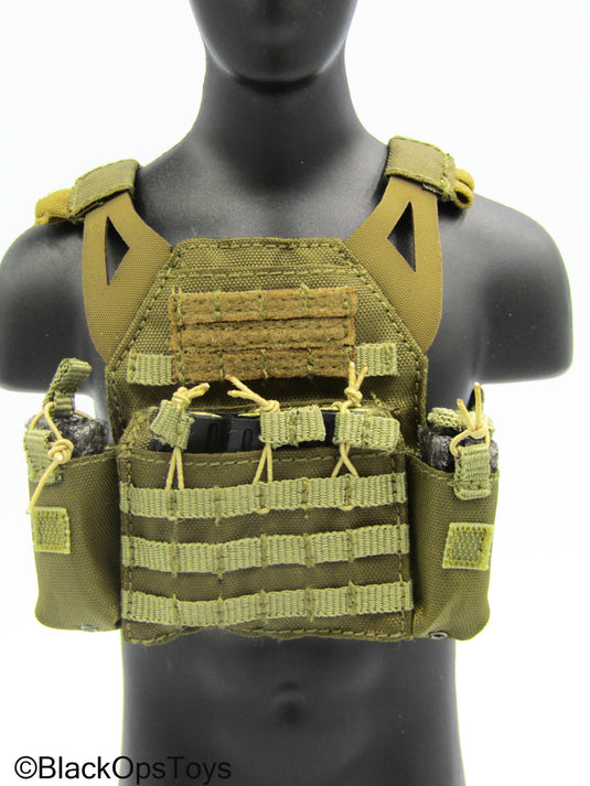 Special Forces - Green MOLLE Plate Carrier Vest w/Magazines