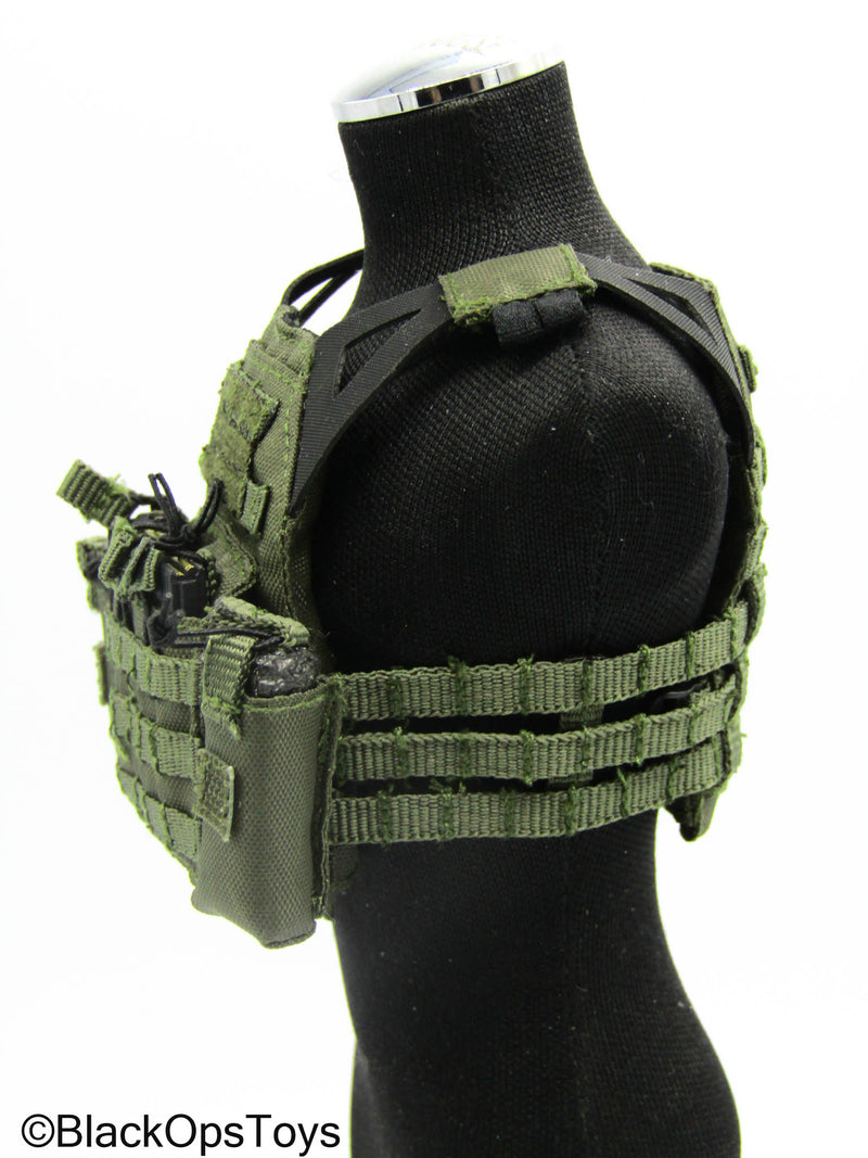 Load image into Gallery viewer, Special Forces - Grey MOLLE Plate Carrier Vest w/Radio Pouches
