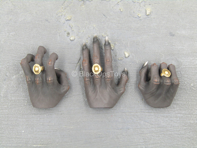 Load image into Gallery viewer, Ra God of Sun - Golden - Black Claw Hand Set (Type 1)
