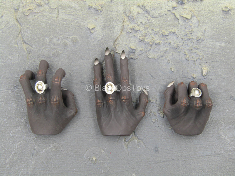 Load image into Gallery viewer, Ra God of Sun - Silver - Black Claw Hand Set (Type 1)
