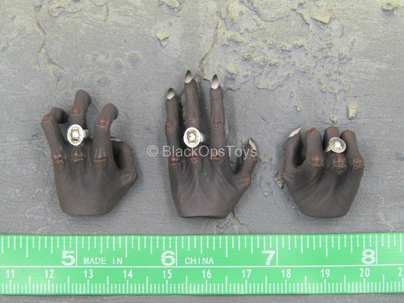 Load image into Gallery viewer, Ra God of Sun - Silver - Black Claw Hand Set (Type 1)
