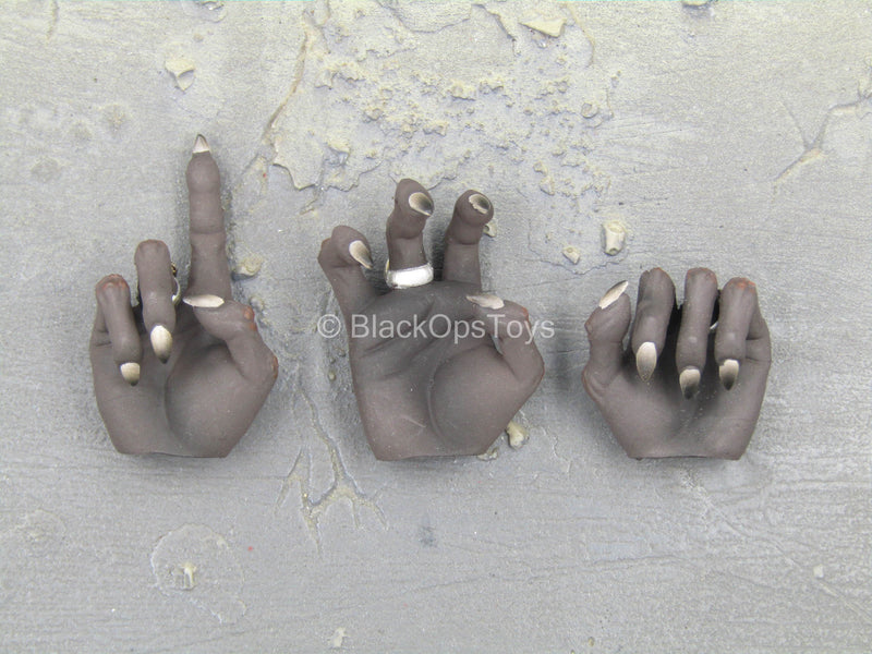 Load image into Gallery viewer, Ra God of Sun - Silver - Black Claw Hand Set (Type 2)
