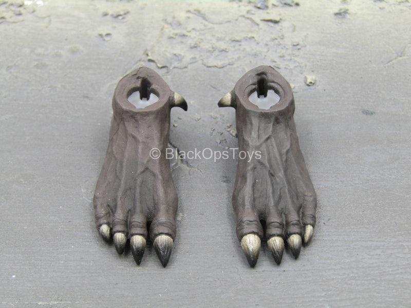 Load image into Gallery viewer, Ra God of Sun - Silver - Pair of Black Feet
