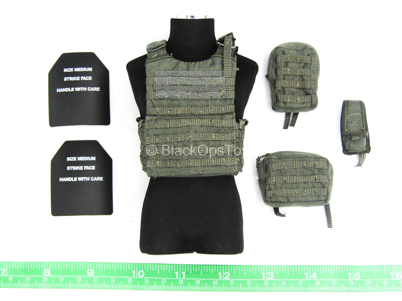 Load image into Gallery viewer, HKP CTRU - Wolf Grey Plate Carrier w/Pouch Set &amp; Strike Plates
