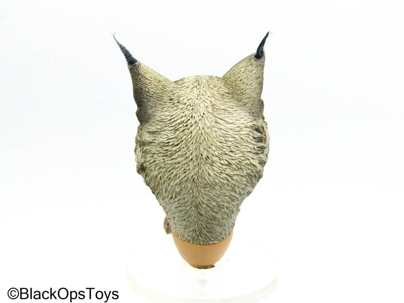 Load image into Gallery viewer, Outlaws Of The Marsh - Cat Head Sculpt
