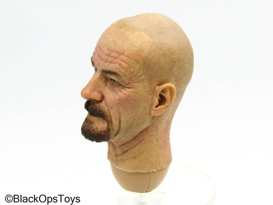 Breaking Bad - Poison Makers - Male Head Sculpt w/Beard
