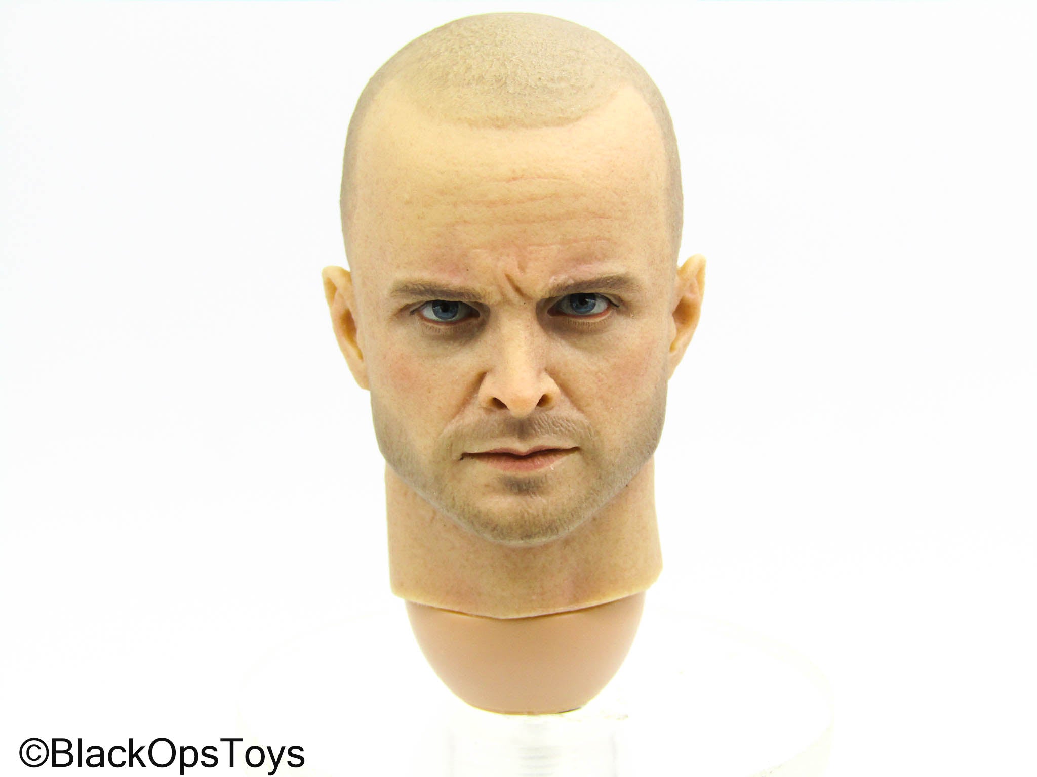 Breaking Bad - Poison Makers - Male Head Sculpt – BlackOpsToys