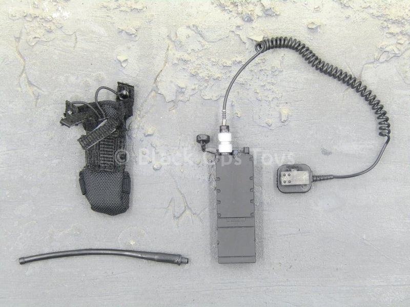 Load image into Gallery viewer, USMC RCT 6th Regiment - Radio &amp; Pouch Set
