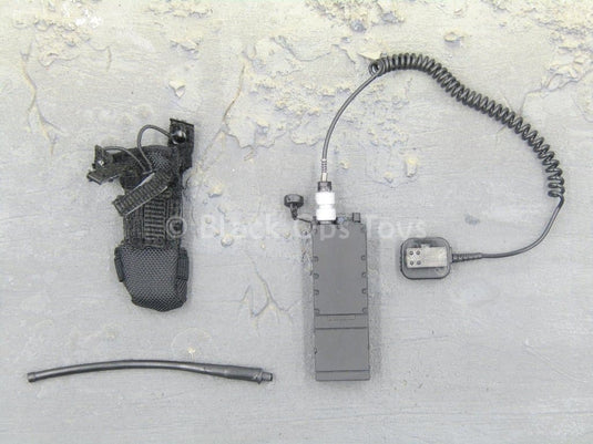 USMC RCT 6th Regiment - Radio & Pouch Set
