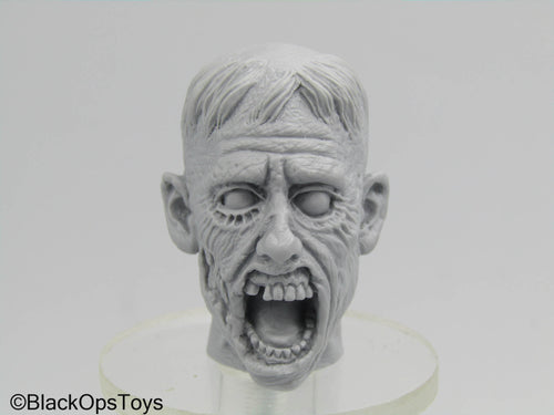 Custom Sculpted Zombie Head Sculpt