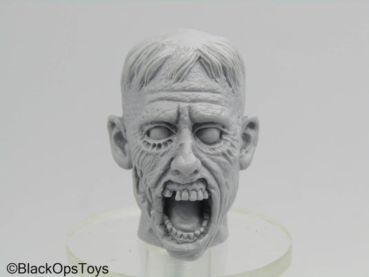 Custom Sculpted Zombie Head Sculpt