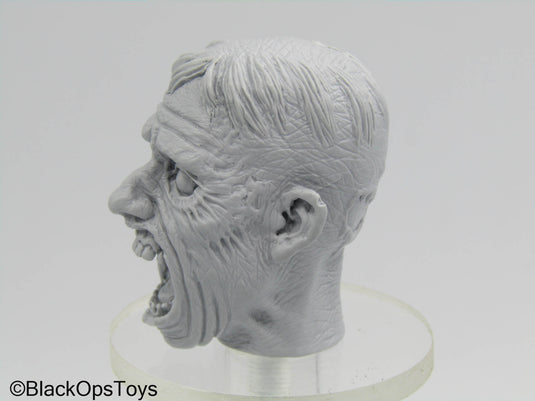 Custom Sculpted Zombie Head Sculpt