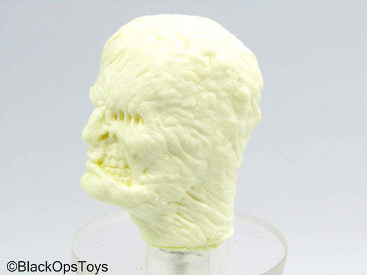 Custom Batman Two-Face Harvey Dent Head Sculpt