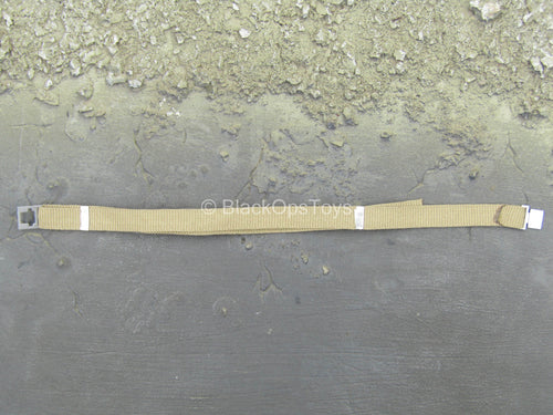 Sino-Vietnamese War - Tan Belt