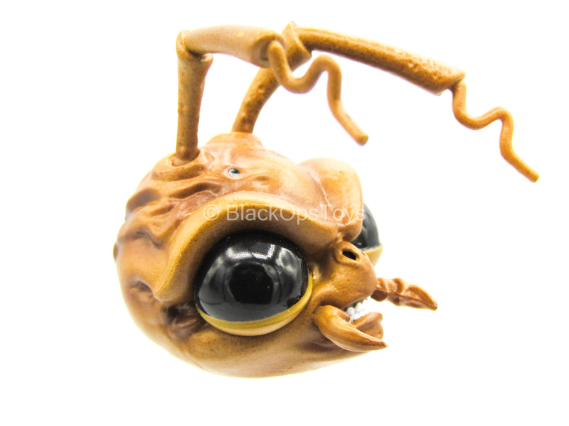 Load image into Gallery viewer, 1/12 - Hazard Squad Bodega Box - Ant Head Sculpt Type 1
