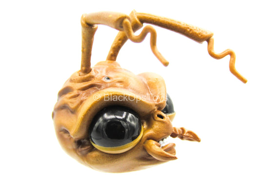 1/12 - Hazard Squad Bodega Box - Ant Head Sculpt Type 1