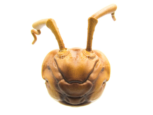 1/12 - Hazard Squad Bodega Box - Ant Head Sculpt Type 1