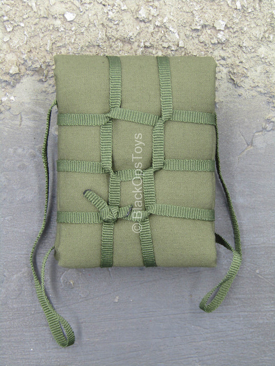 Sino-Vietnamese War - Green Backpack